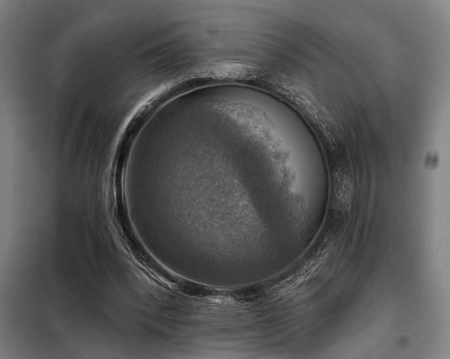 X0000098170392200804241200