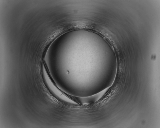 X0000098170393200804241200