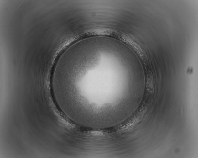 X0000098170394200804241200