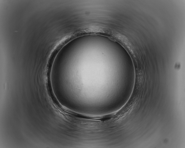 X0000098170395200804241200