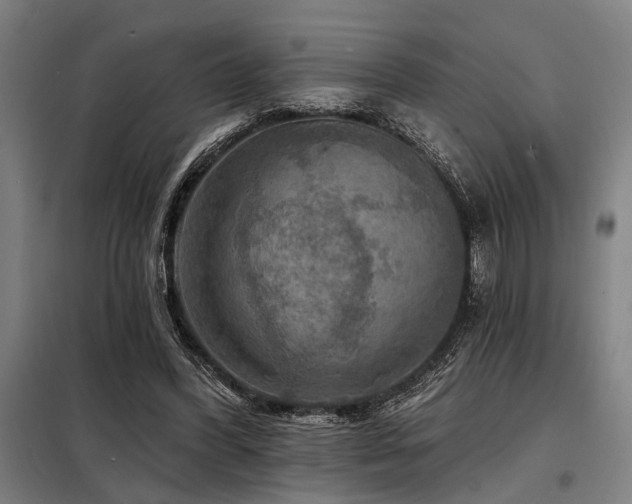 X0000098170396200804241200