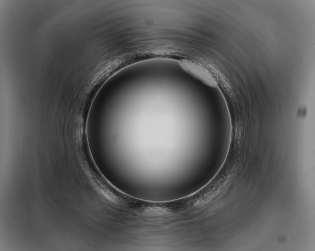 X0000098170397200804241200