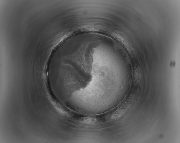 X0000098170398200804241200