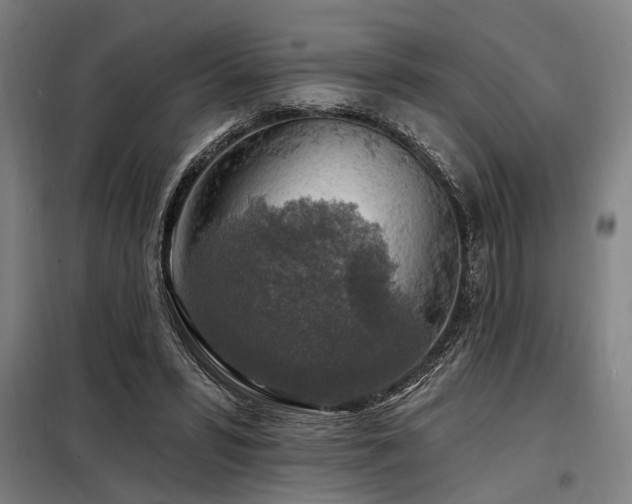 X0000098170399200804241200