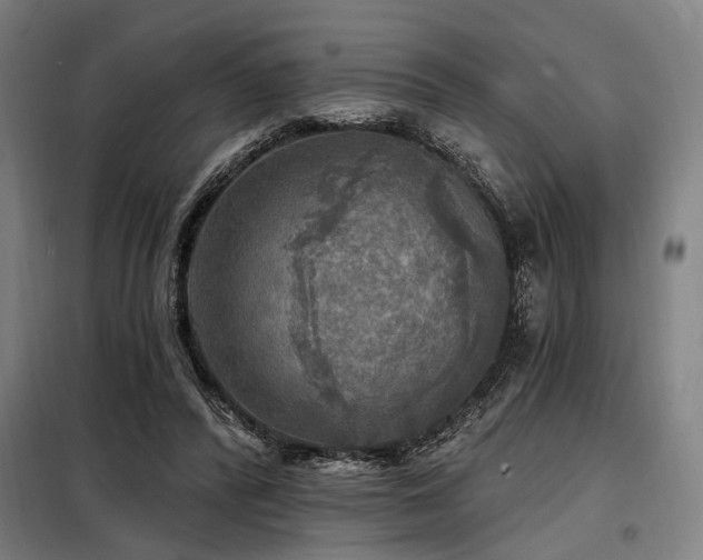 X0000098170400200804241200