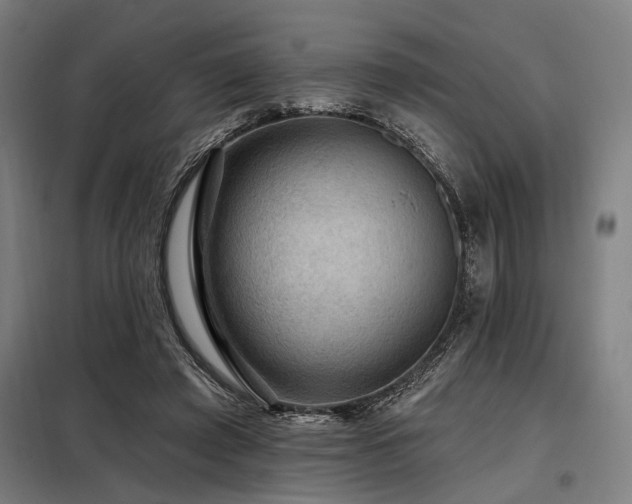 X0000098170401200804241200