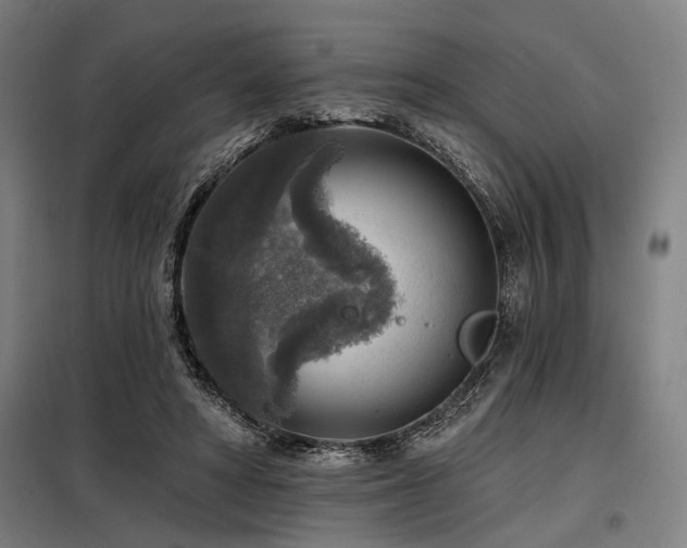 X0000098170402200804241200