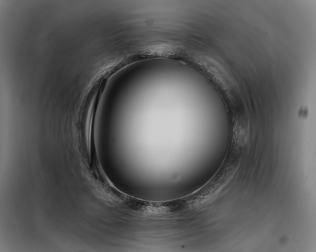 X0000098170403200804241200