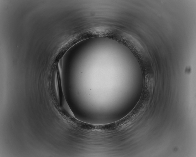 X0000098170404200804241200