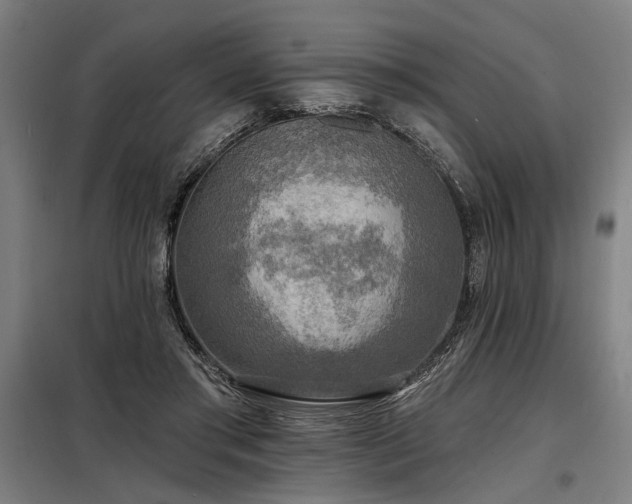 X0000098170405200804241200