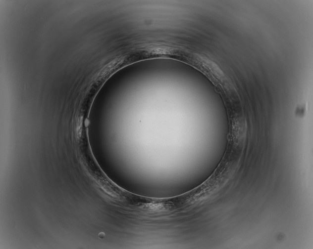 X0000098170406200804241200