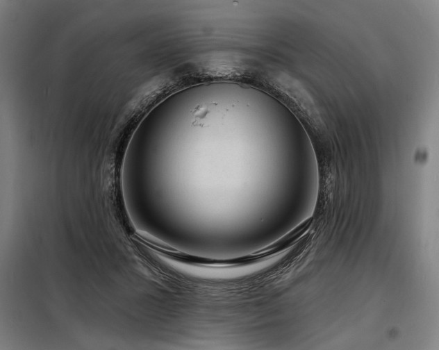 X0000098170407200804241200