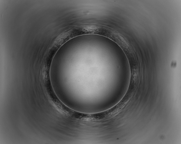 X0000098170408200804241200