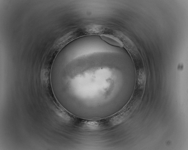 X0000098170409200804241200