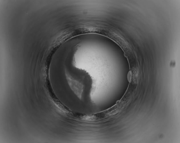 X0000098170410200804241200