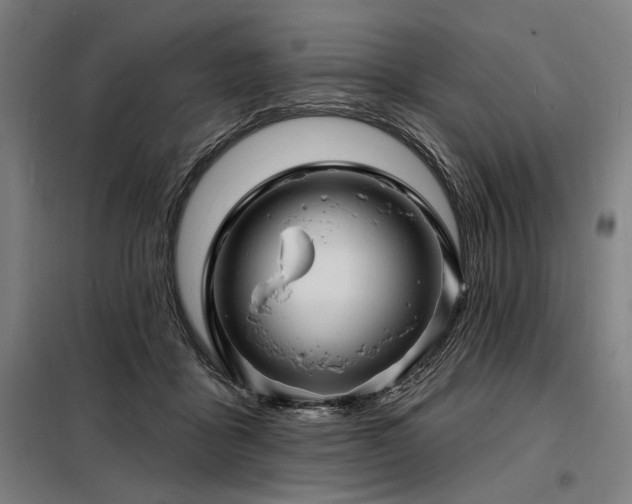 X0000098170411200804241200