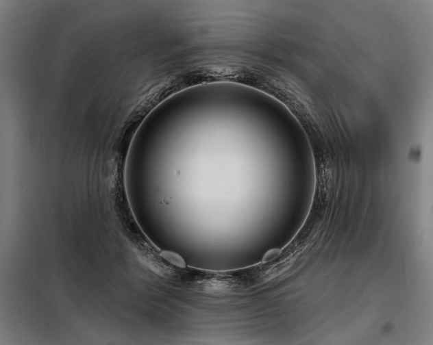 X0000098170412200804241200