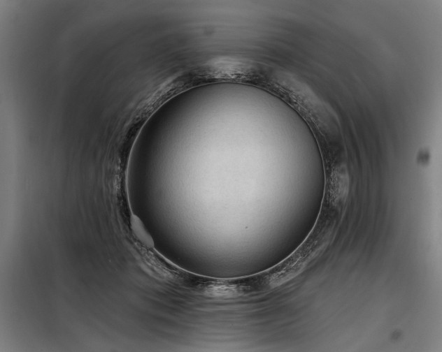 X0000098170413200804241200