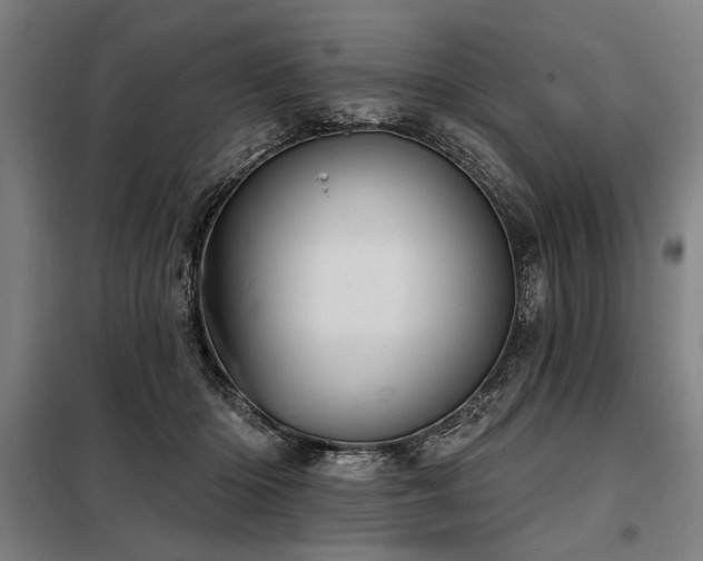 X0000098170414200804241200