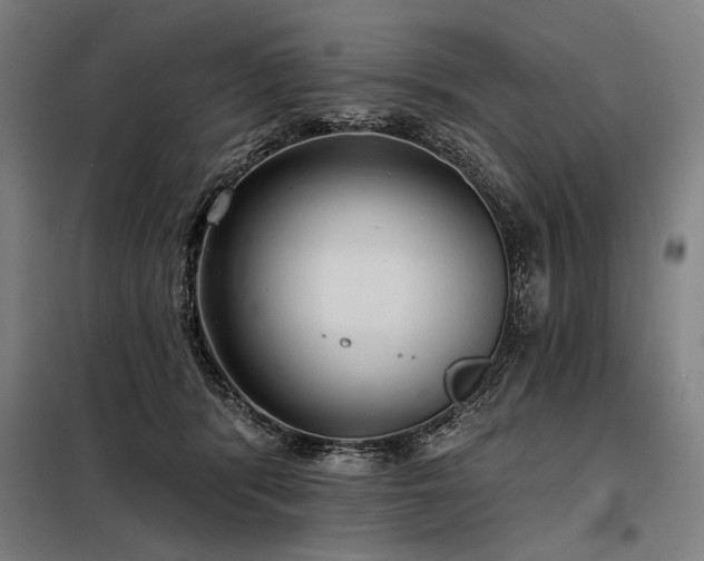 X0000098170416200804241200