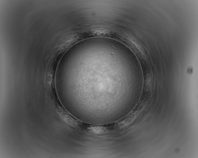 X0000098170417200804241200