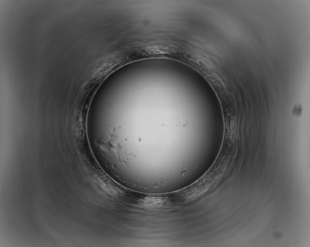 X0000098170418200804241200