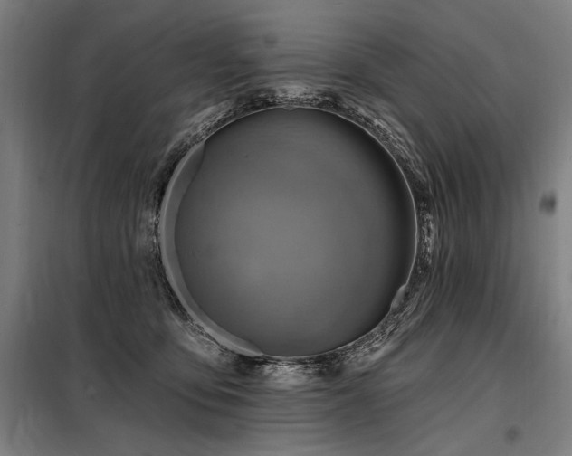 X0000098170419200804241200