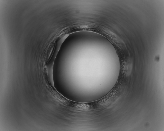 X0000098170421200804241200