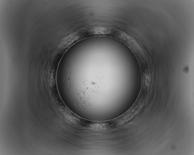 X0000098170422200804241200