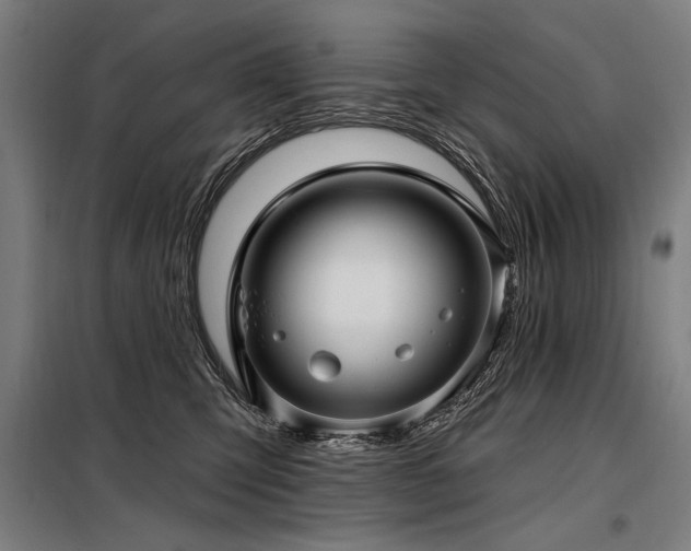 X0000098170423200804241200