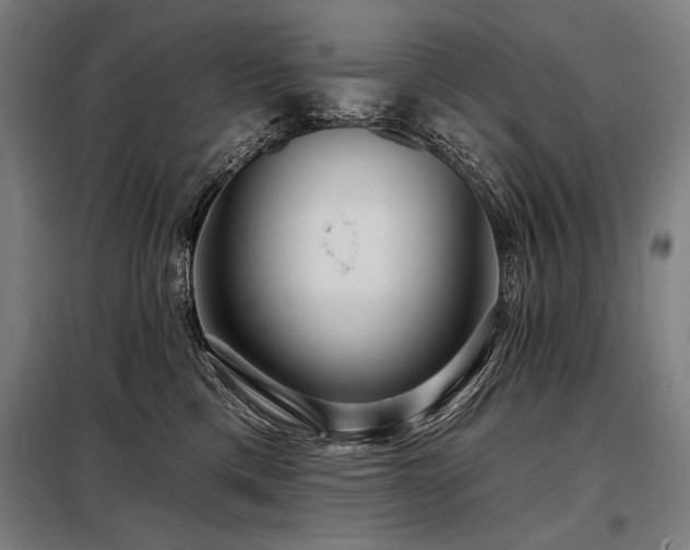 X0000098170425200804241200