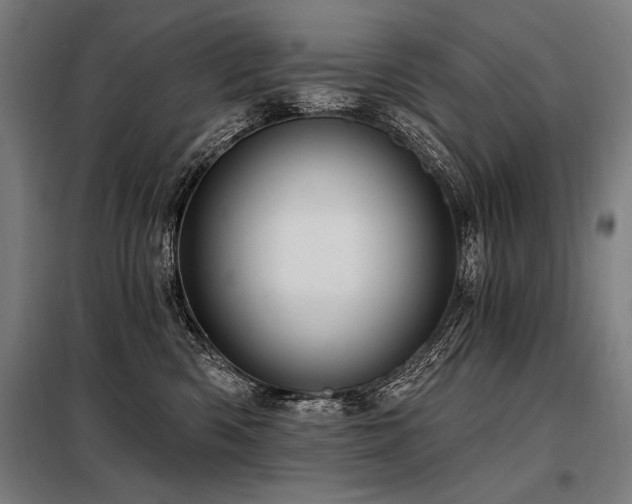 X0000098170426200804241200