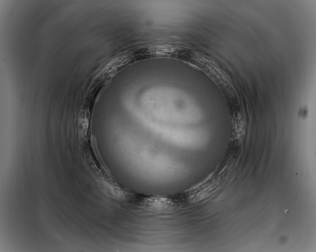 X0000098170427200804241200