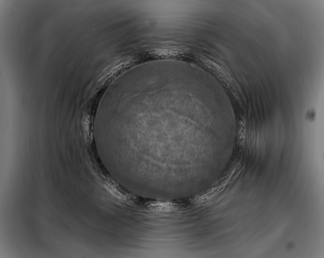 X0000098170428200804241200