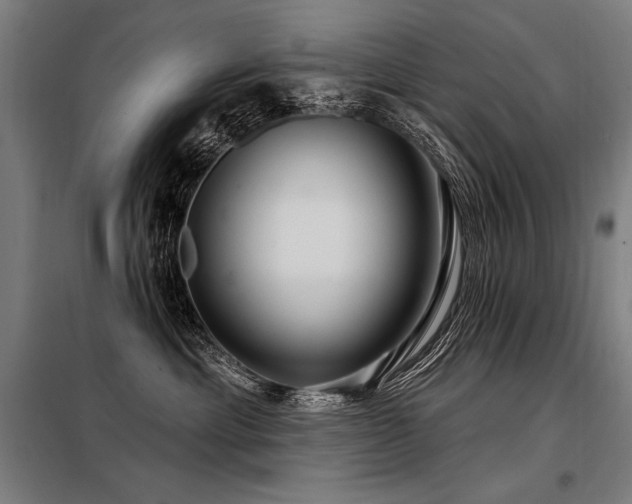 X0000098170429200804241200