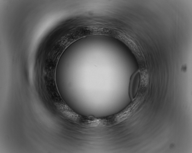 X0000098170430200804241200