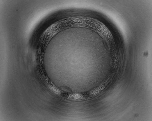 X0000098170431200804241200