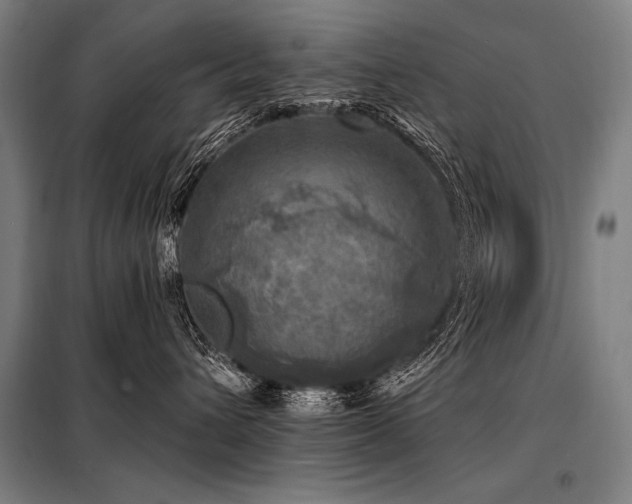 X0000098170432200804241200