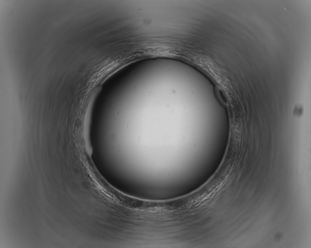 X0000098170433200804241159