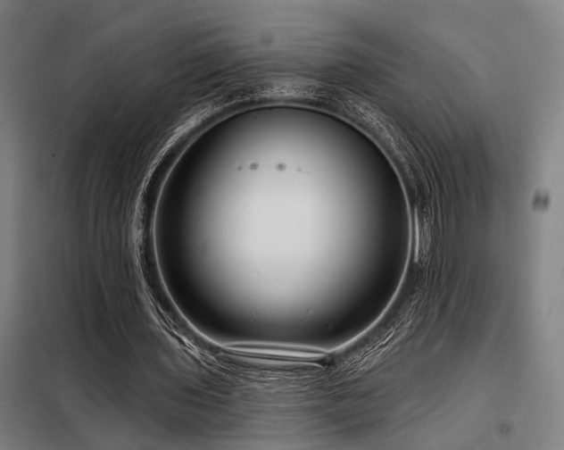 X0000098170435200804241159