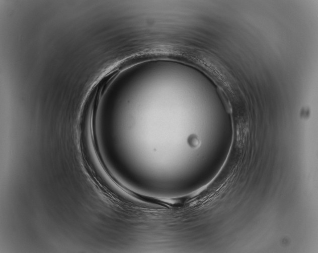 X0000098170436200804241159