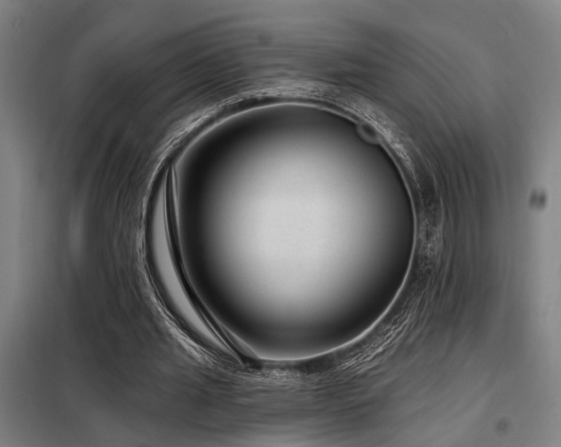 X0000098170437200804241159