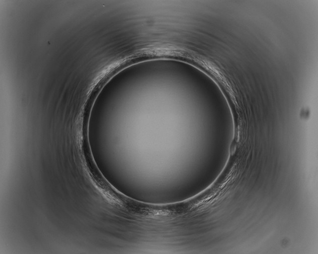 X0000098170438200804241159