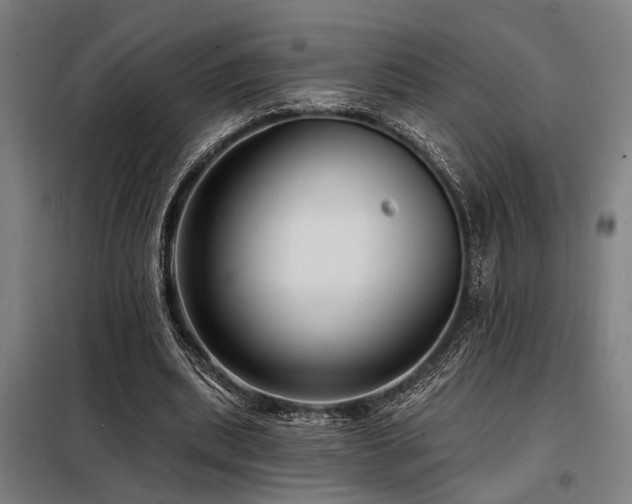 X0000098170439200804241159