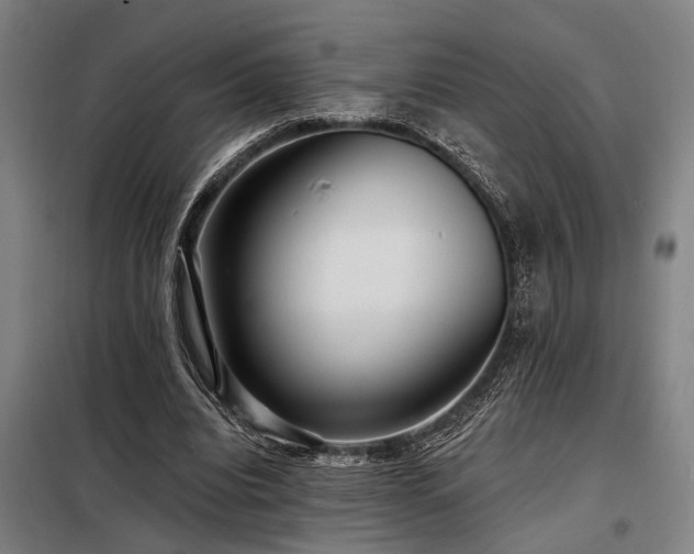 X0000098170440200804241159