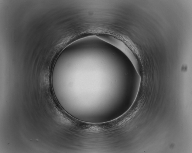 X0000098170441200804241159