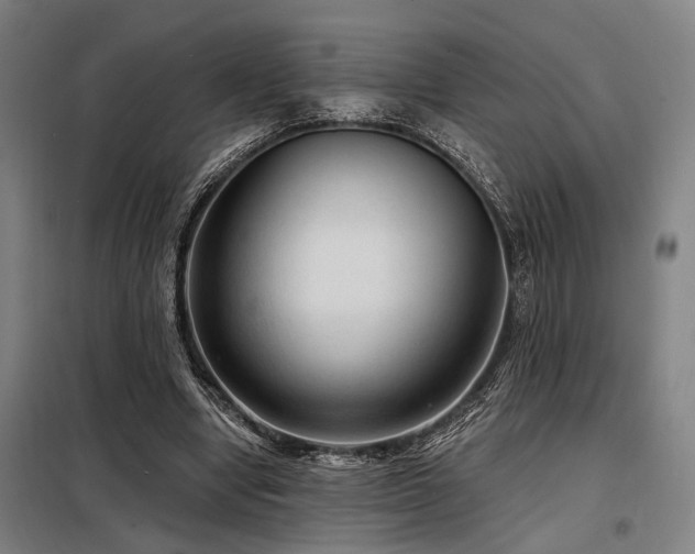 X0000098170442200804241159