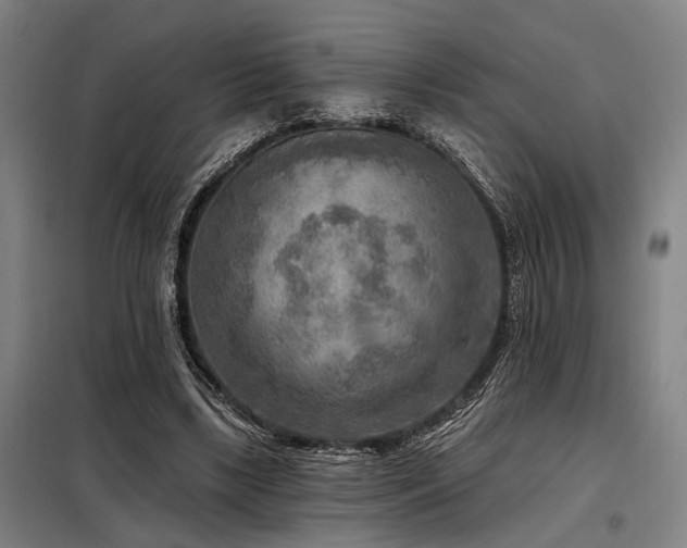 X0000098170443200804241159