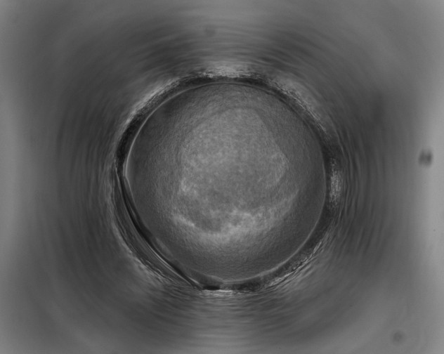 X0000098170444200804241159