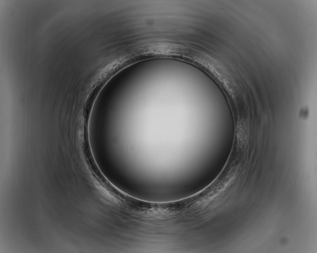 X0000098170445200804241159